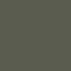 Mr. Color C17 Semi-Gloss RLM71 Dark Green 10ml