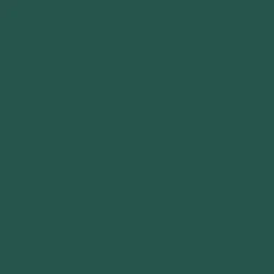 Mr. Color C123 Semi-Gloss RLM83 Dark Green 10ml