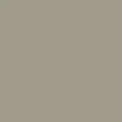 Mr. Color C60 Semi-Gloss RLM02 Gray 10ml