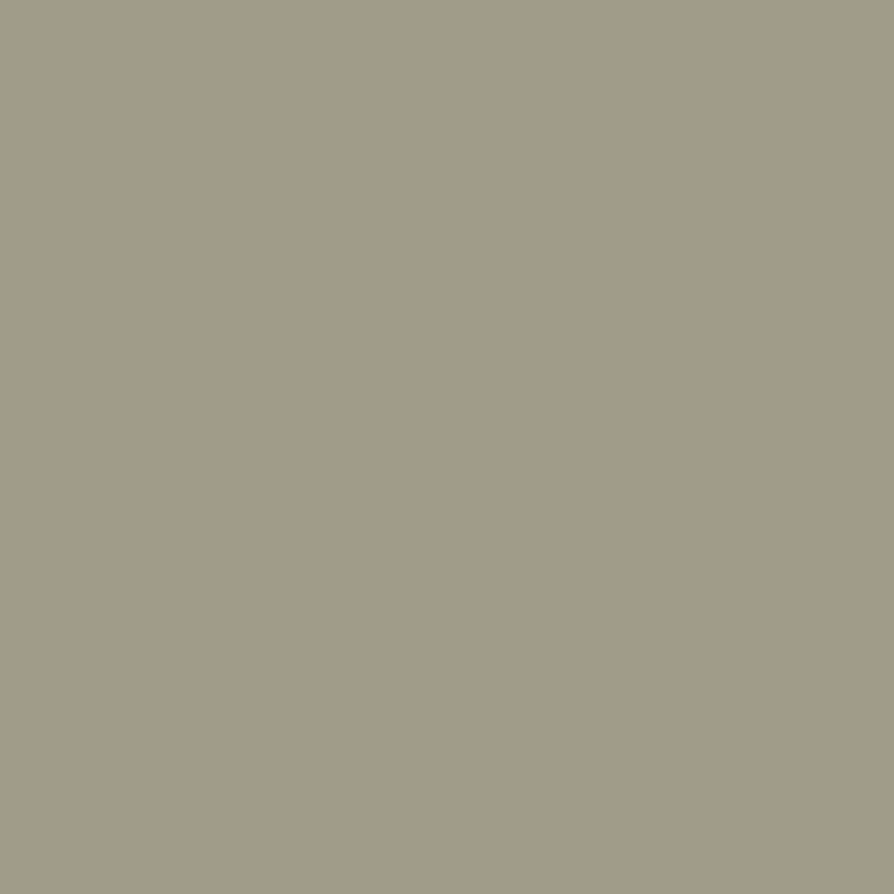 Mr. Color C60 Semi-Gloss RLM02 Gray 10ml