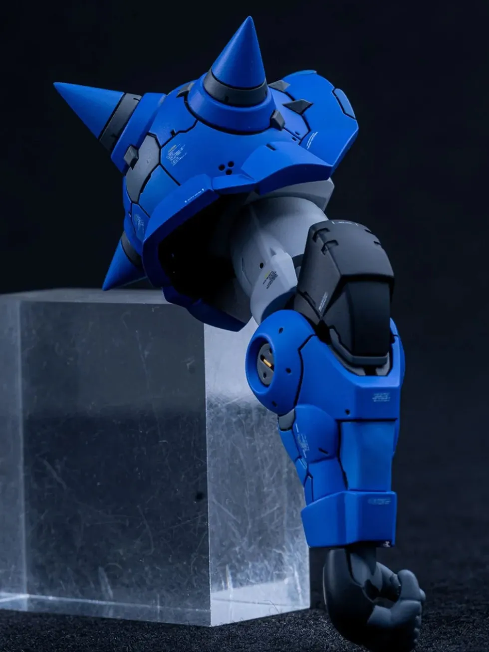 1/100 MS-06 Zaku II
