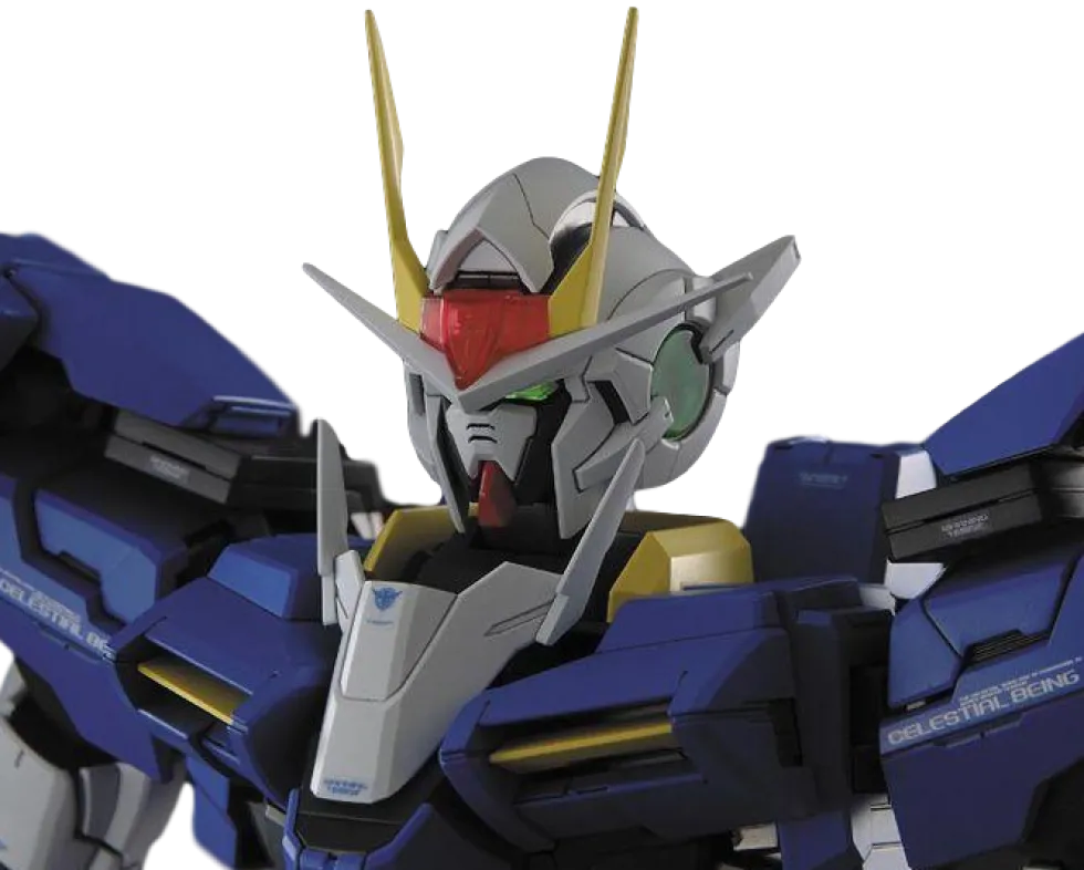 PG GN-0000+GNR-010 00 Raiser