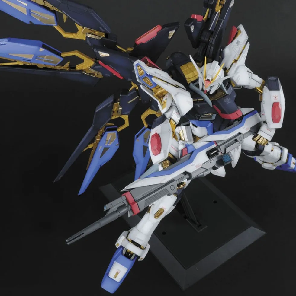 PG ZGMF-X20A Strike Freedom Gundam