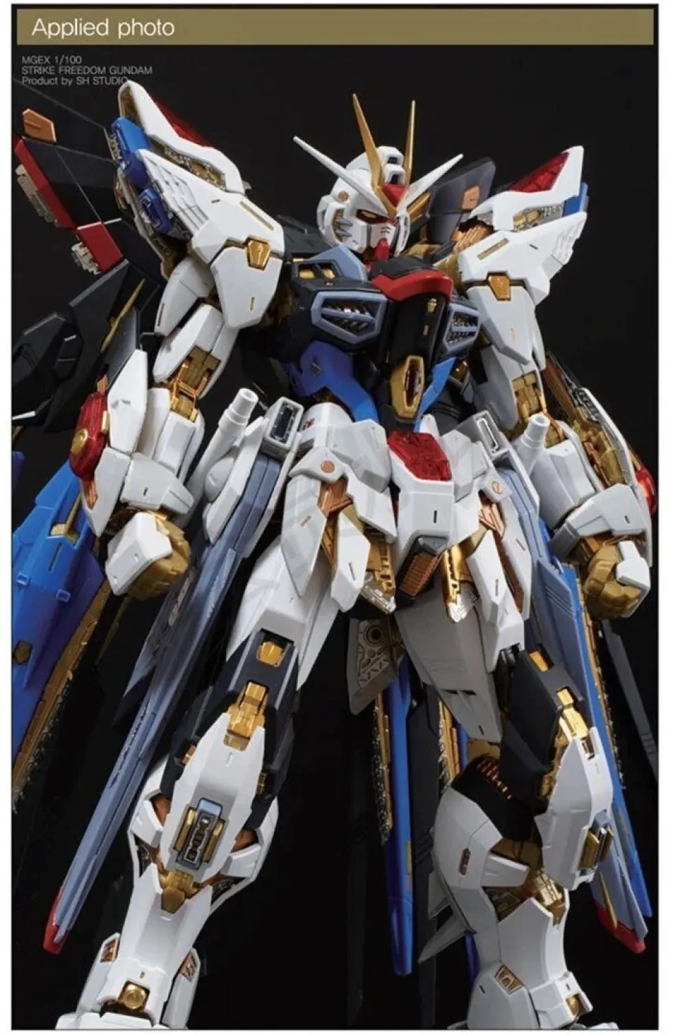 Photo Etch MGEX Strike Freedom