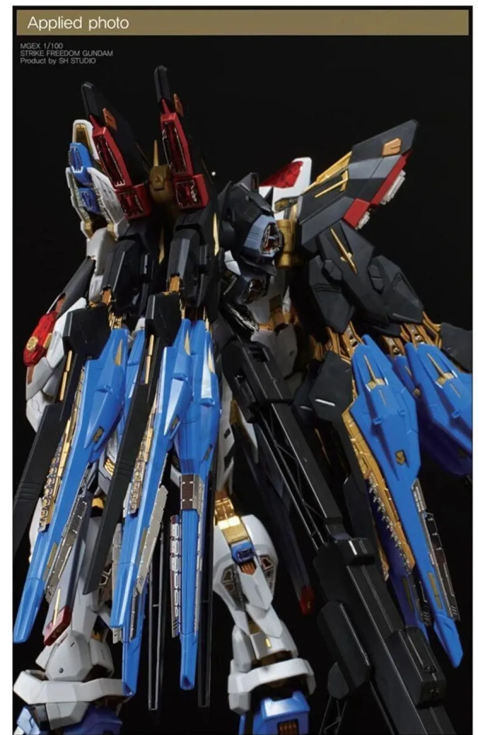 Photo Etch MGEX Strike Freedom