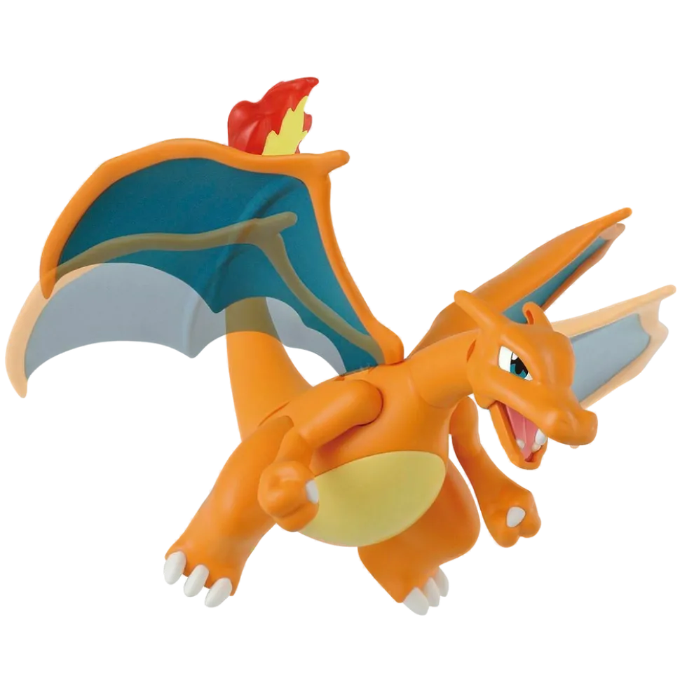 Pokémon Charizard & Dragonite