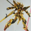 RG Akatsuki