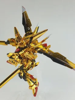 RG Akatsuki