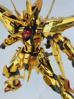 RG Akatsuki