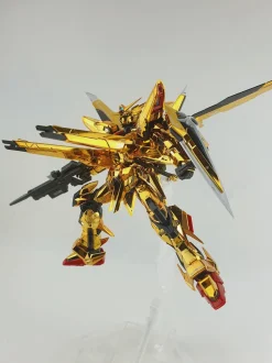 RG Akatsuki