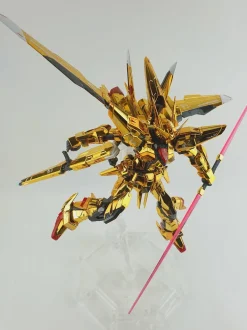 RG Akatsuki