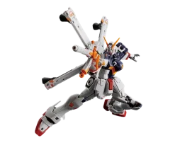 RG 31 Crossbone Gundam X1