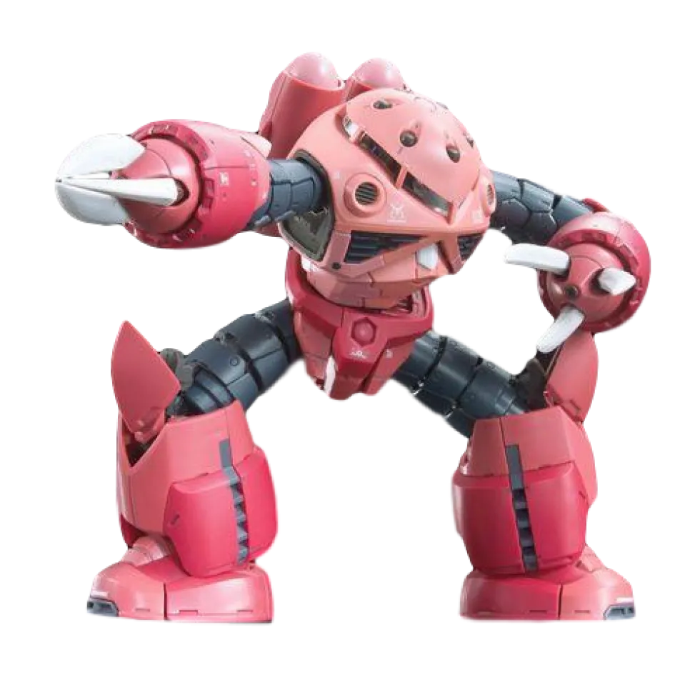 RG 16 MSM-07S Z'Gok