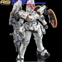 RG Tallgeese EW Decals
