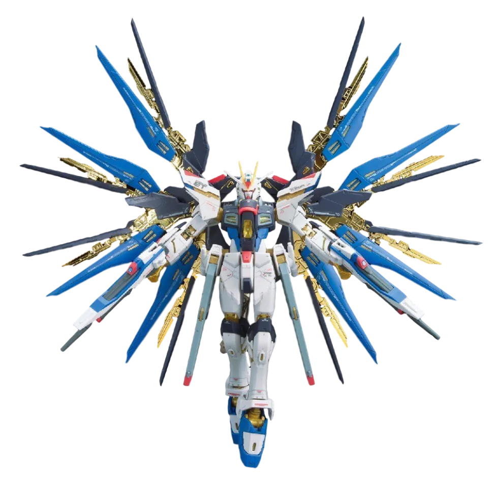 RG 14 ZGMF-X20A Strike Freedom