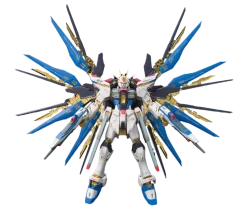 RG 14 ZGMF-X20A Strike Freedom