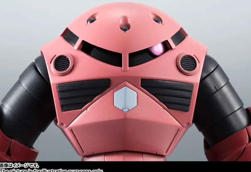 Robot Spirits MSM-07S Char's Z'Gok ver. A.N.I.M.E.