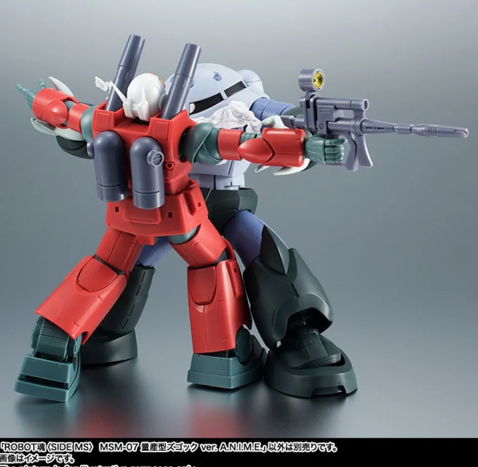 Robot Spirits MSM-07 Z'GOK ver. A.N.I.M.E.