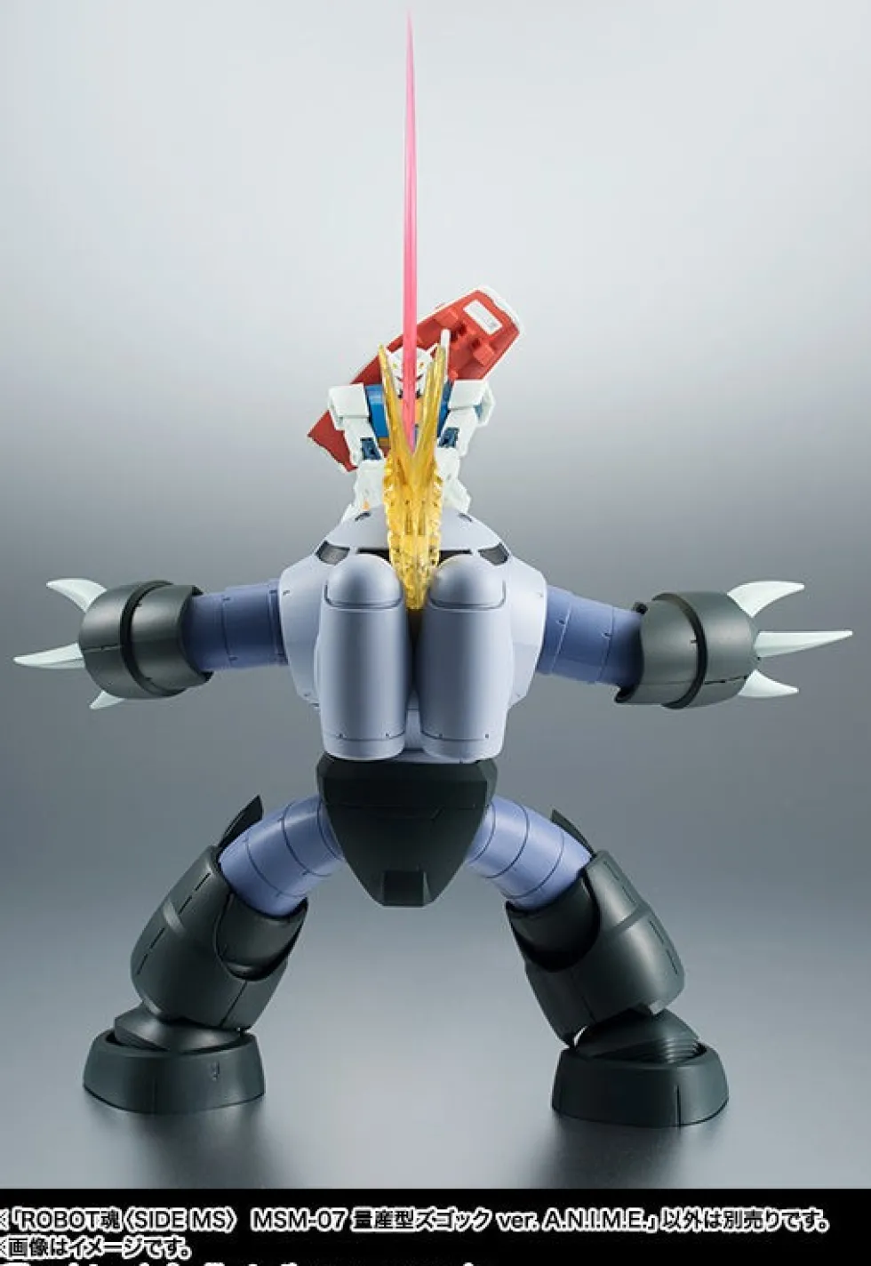Robot Spirits MSM-07 Z'GOK ver. A.N.I.M.E.