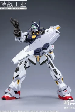 1/100 Sentinel